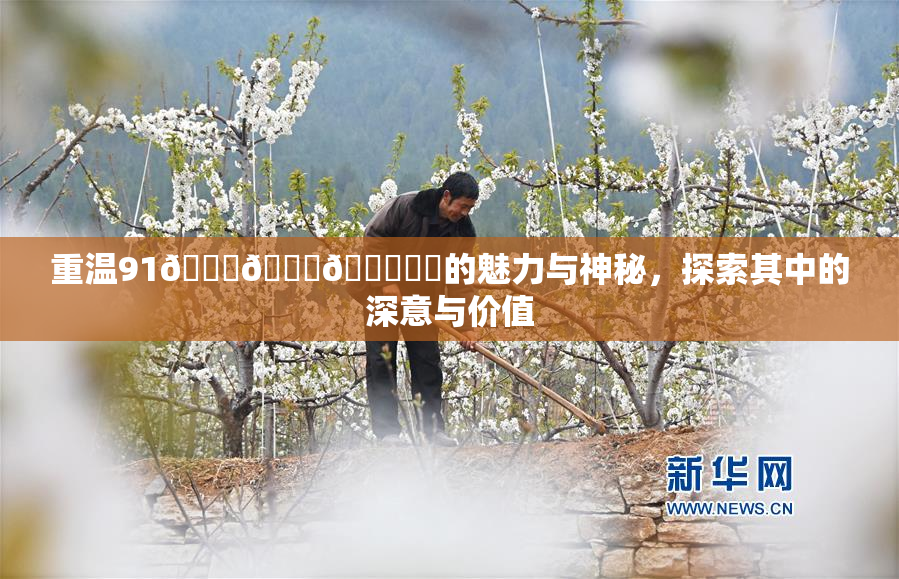 重温91🍆🍑🔞❌‌的魅力与神秘，探索其中的深意与价值