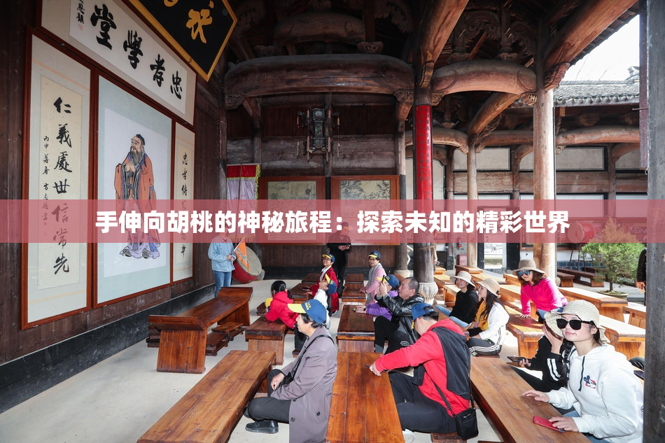 手伸向胡桃的神秘旅程：探索未知的精彩世界