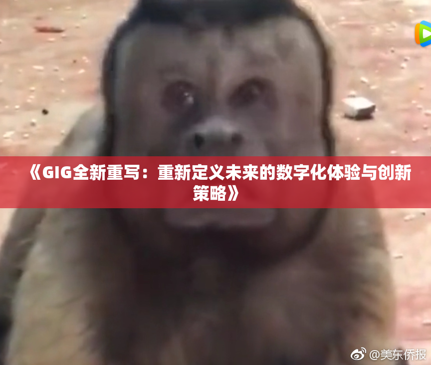 《GIG全新重写：重新定义未来的数字化体验与创新策略》
