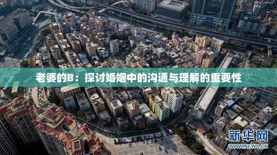 老婆的B：探讨婚姻中的沟通与理解的重要性