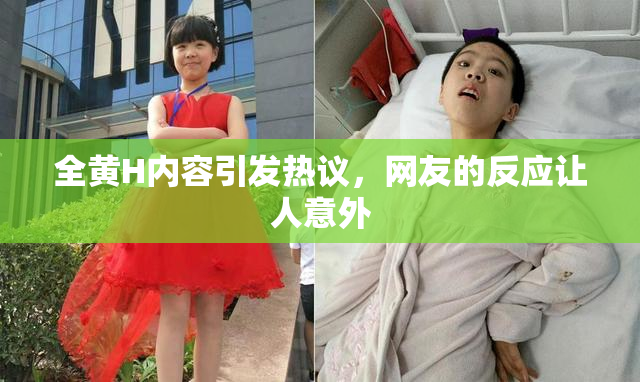 全黄H内容引发热议，网友的反应让人意外