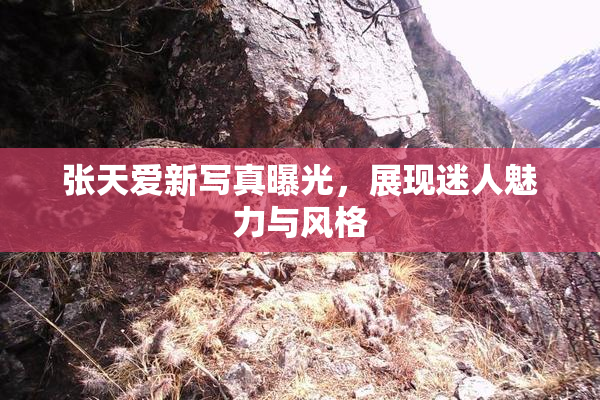 张天爱新写真曝光，展现迷人魅力与风格