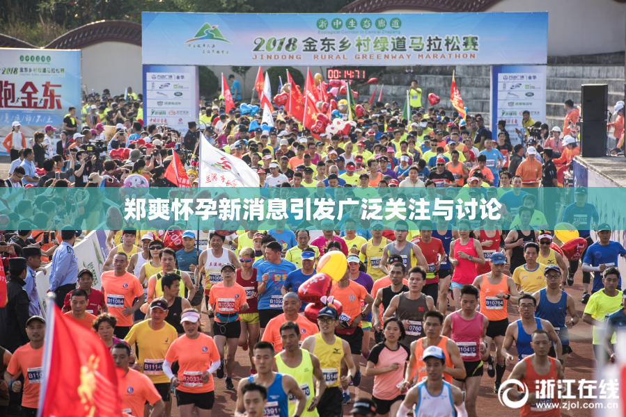 郑爽怀孕新消息引发广泛关注与讨论