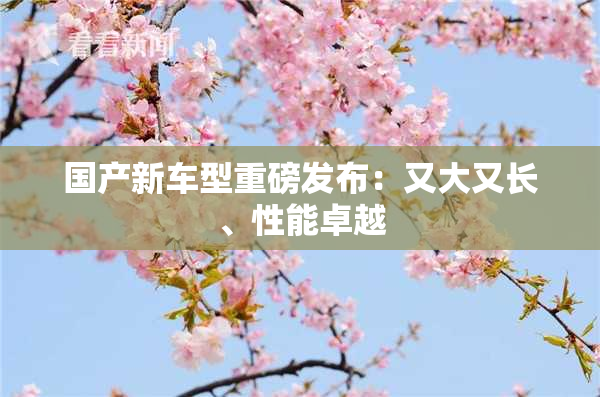 国产新车型重磅发布：又大又长、性能卓越