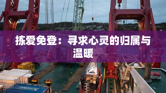 拣爱免登：寻求心灵的归属与温暖