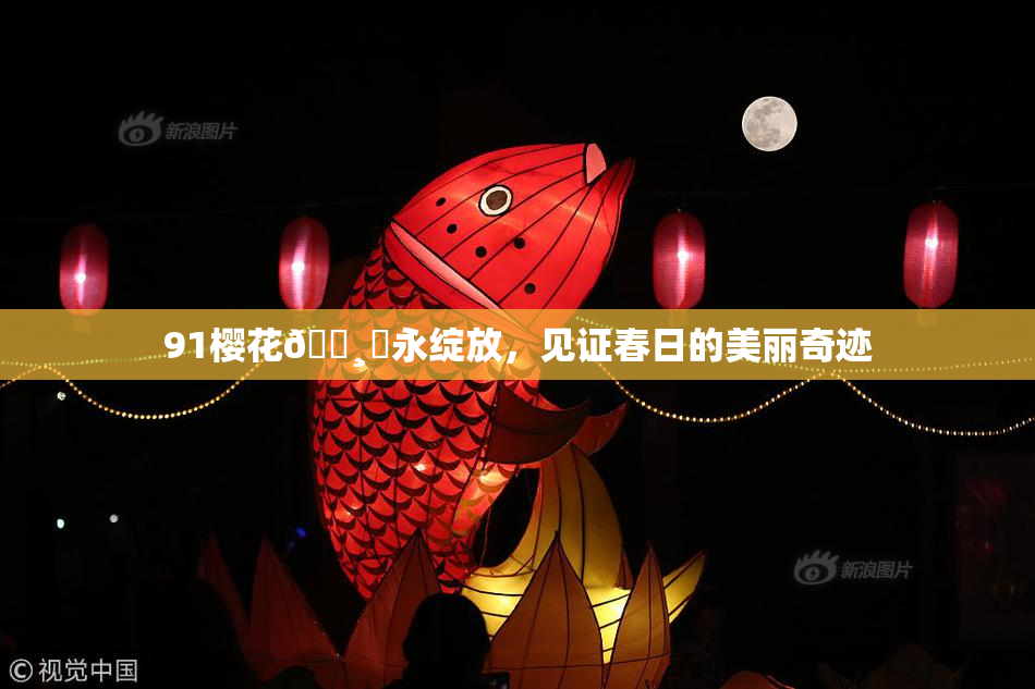 91樱花🌸‌永绽放，见证春日的美丽奇迹