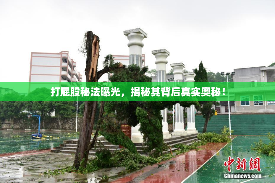 打屁股秘法曝光，揭秘其背后真实奥秘！