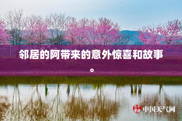 邻居的阿带来的意外惊喜和故事。