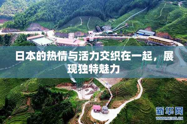 日本的热情与活力交织在一起，展现独特魅力