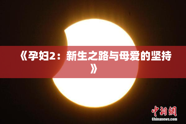 《孕妇2：新生之路与母爱的坚持》