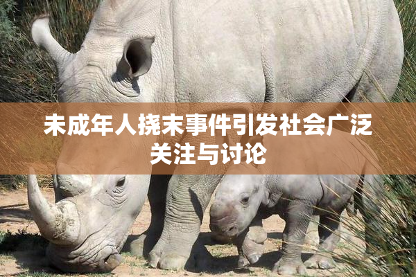 未成年人挠末事件引发社会广泛关注与讨论