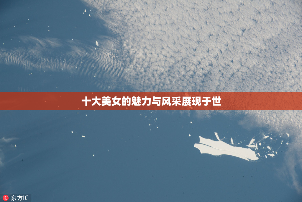 十大美女的魅力与风采展现于世