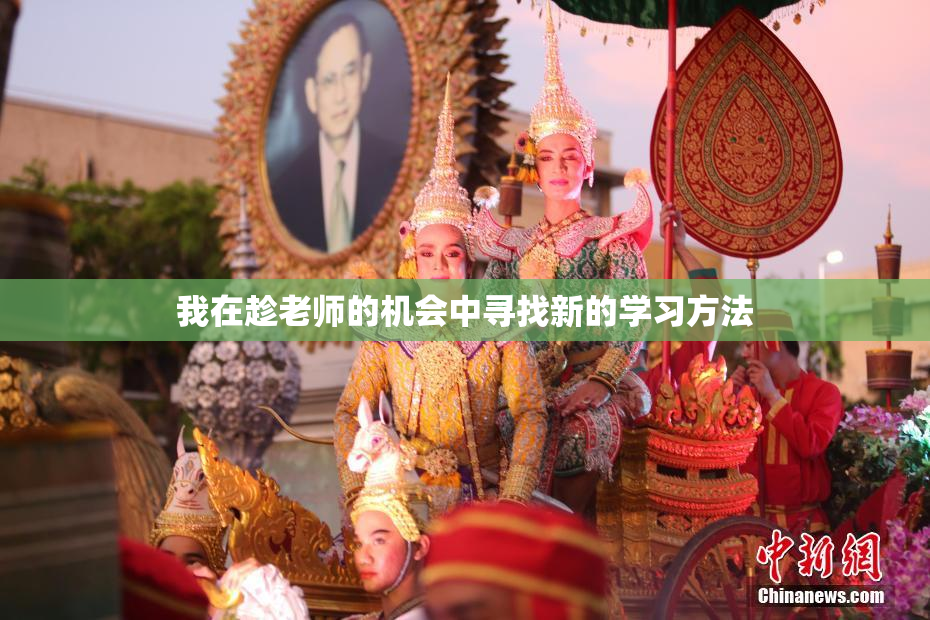 我在趁老师的机会中寻找新的学习方法