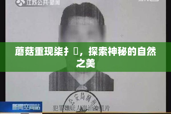 蘑菇重现柒扌畐，探索神秘的自然之美