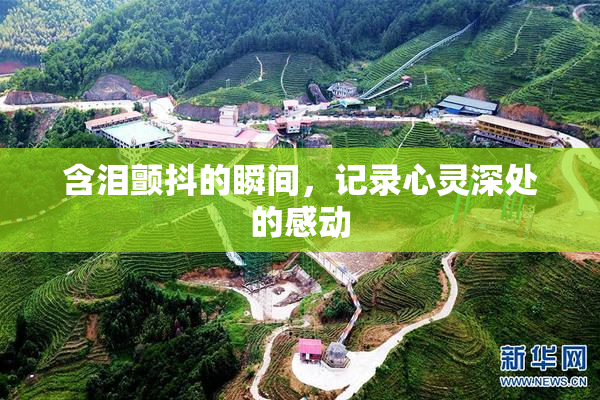 含泪颤抖的瞬间，记录心灵深处的感动