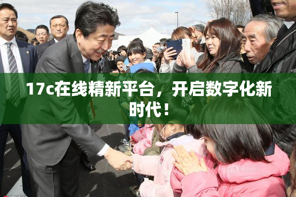 17c在线精新平台，开启数字化新时代！