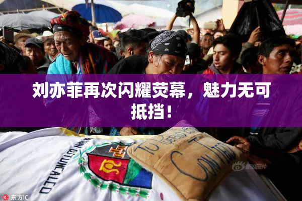 刘亦菲再次闪耀荧幕，魅力无可抵挡！
