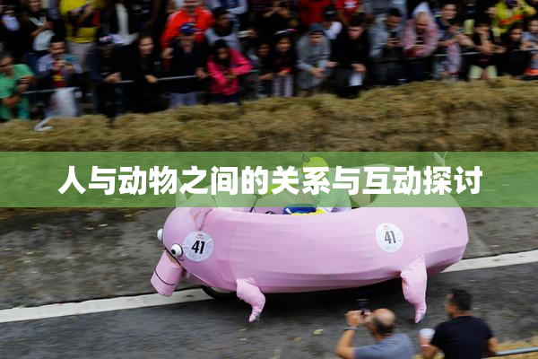 人与动物之间的关系与互动探讨