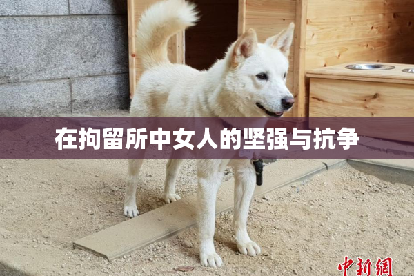 在拘留所中女人的坚强与抗争