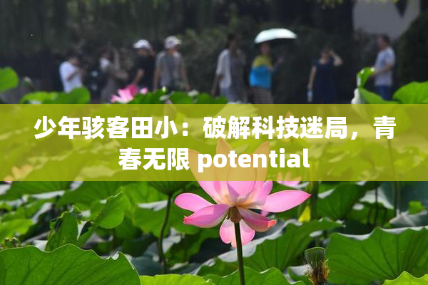 少年骇客田小：破解科技迷局，青春无限 potential