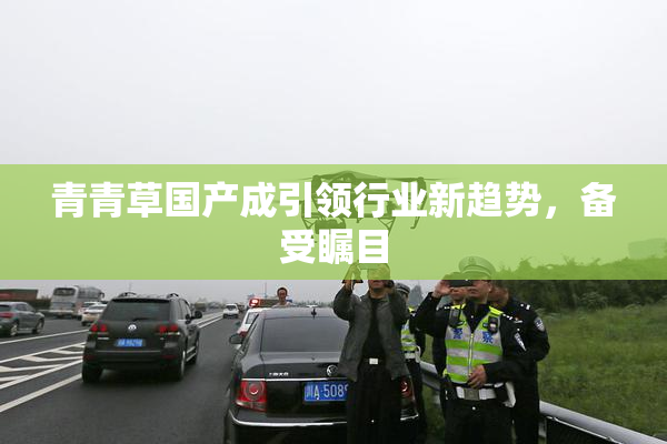 青青草国产成引领行业新趋势，备受瞩目