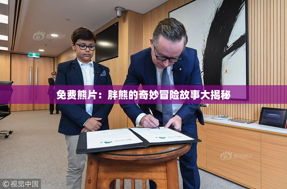 免费熊片：胖熊的奇妙冒险故事大揭秘