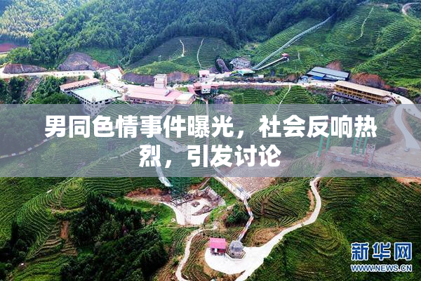 男同色情事件曝光，社会反响热烈，引发讨论