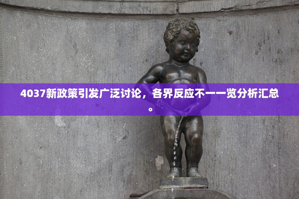 4037新政策引发广泛讨论，各界反应不一一览分析汇总。