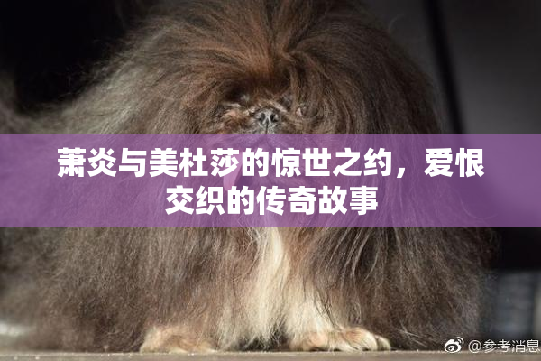 萧炎与美杜莎的惊世之约，爱恨交织的传奇故事