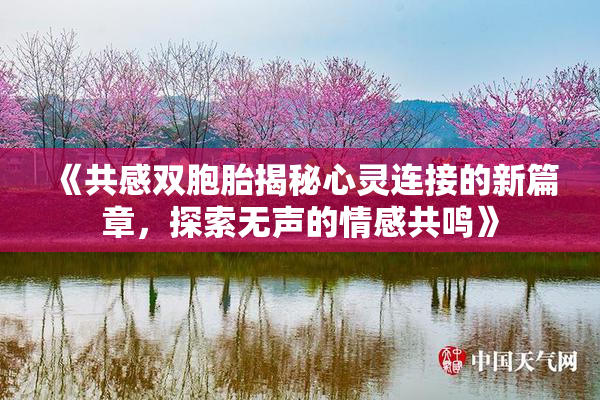 《共感双胞胎揭秘心灵连接的新篇章，探索无声的情感共鸣》
