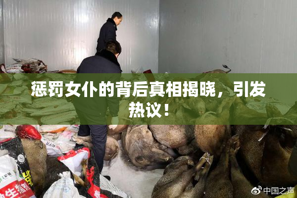 惩罚女仆的背后真相揭晓，引发热议！