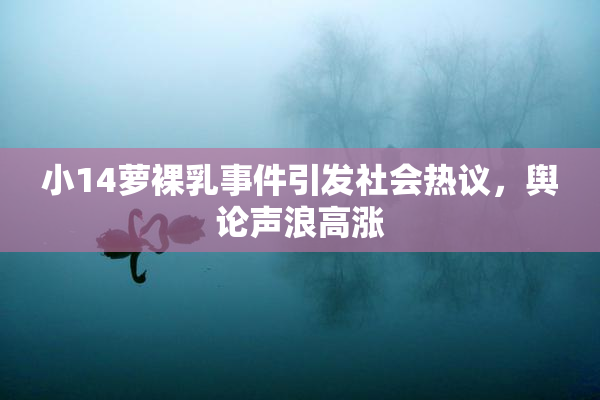 小14萝裸乳事件引发社会热议，舆论声浪高涨