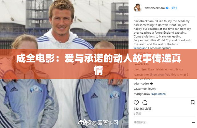 成全电影：爱与承诺的动人故事传递真情
