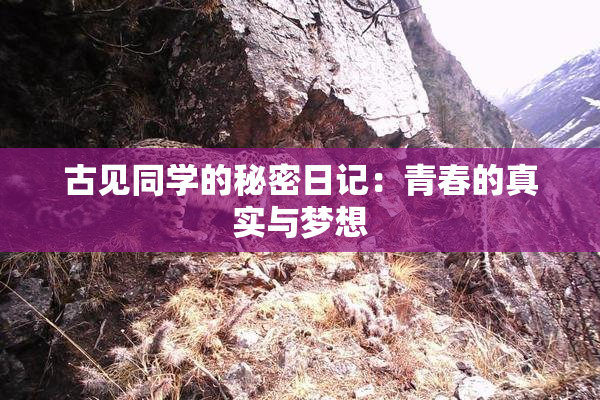 古见同学的秘密日记：青春的真实与梦想
