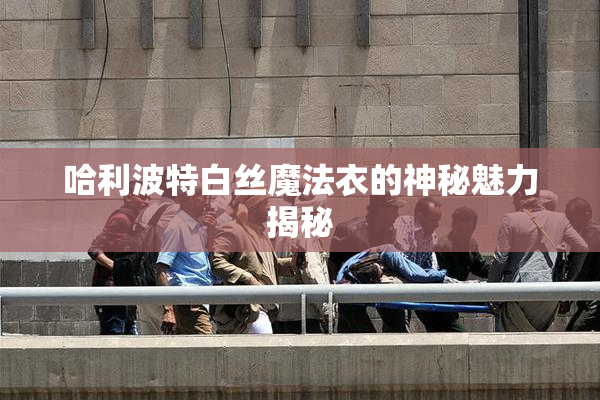 哈利波特白丝魔法衣的神秘魅力揭秘