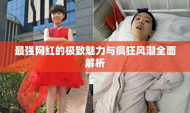 最强网红的极致魅力与疯狂风潮全面解析