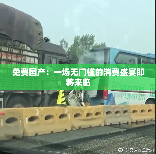 免费国产：一场无门槛的消费盛宴即将来临