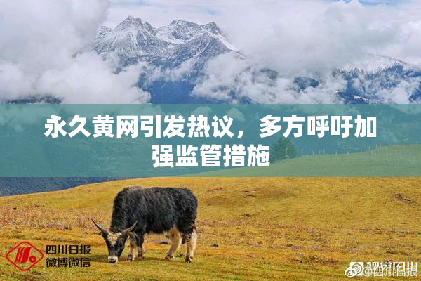 永久黄网引发热议，多方呼吁加强监管措施