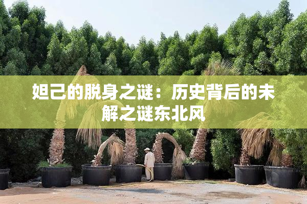 妲己的脱身之谜：历史背后的未解之谜东北风