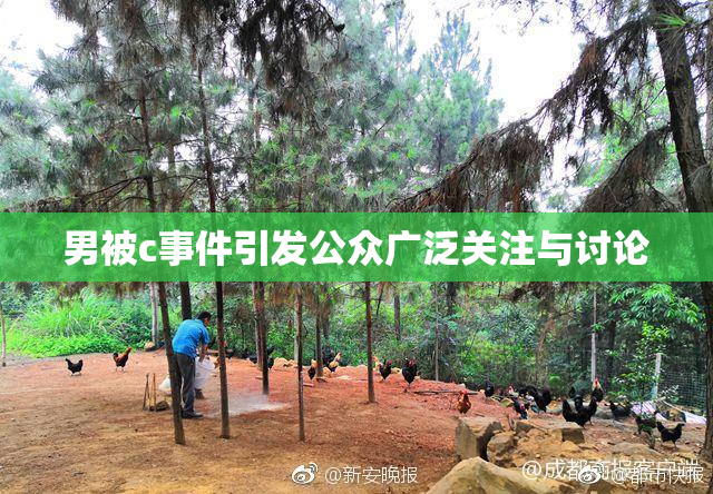 男被c事件引发公众广泛关注与讨论