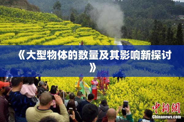 《大型物体的数量及其影响新探讨》