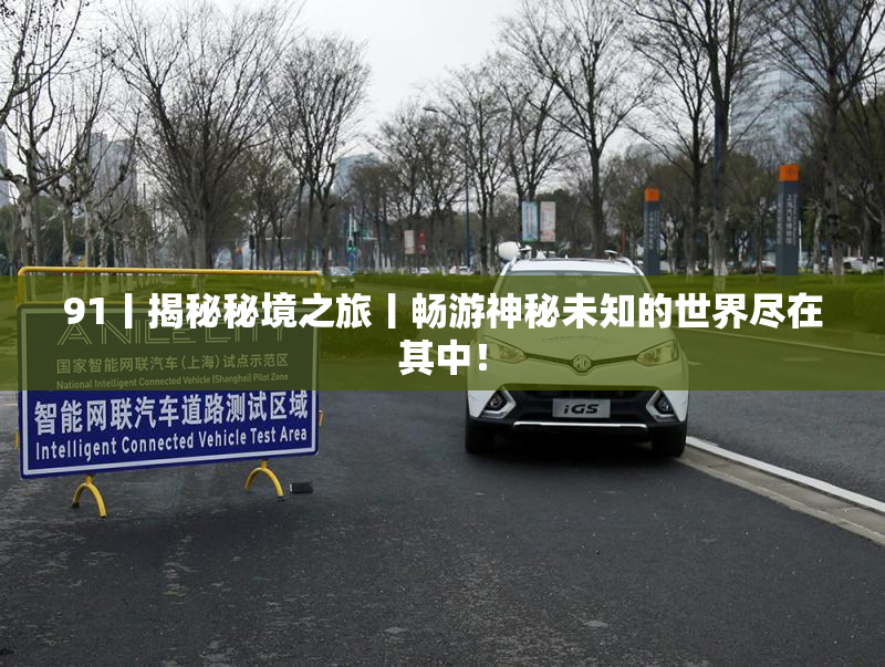 91丨揭秘秘境之旅丨畅游神秘未知的世界尽在其中！