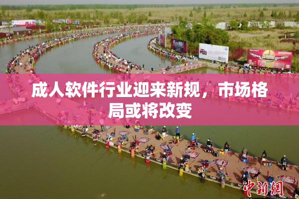 成人软件行业迎来新规，市场格局或将改变