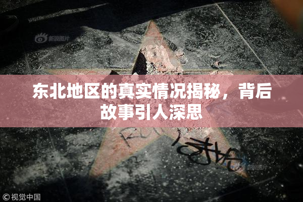 东北地区的真实情况揭秘，背后故事引人深思