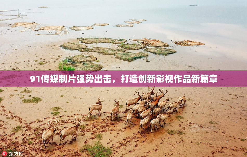 91传媒制片强势出击，打造创新影视作品新篇章