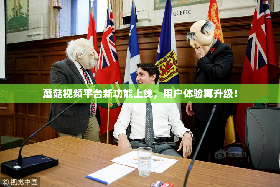 蘑菇视频平台新功能上线，用户体验再升级！