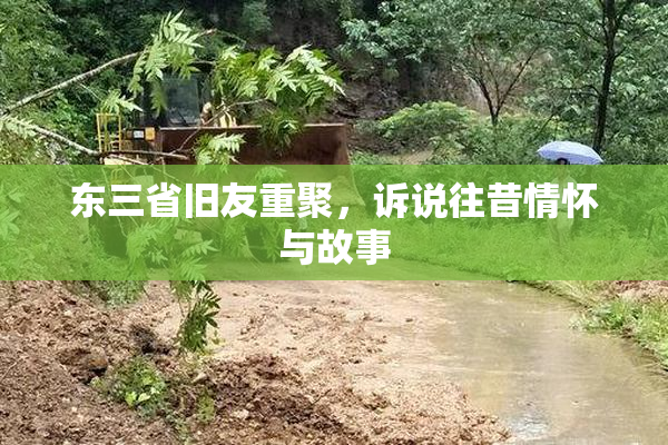 东三省旧友重聚，诉说往昔情怀与故事