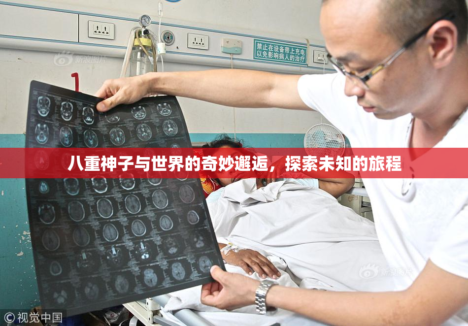 八重神子与世界的奇妙邂逅，探索未知的旅程
