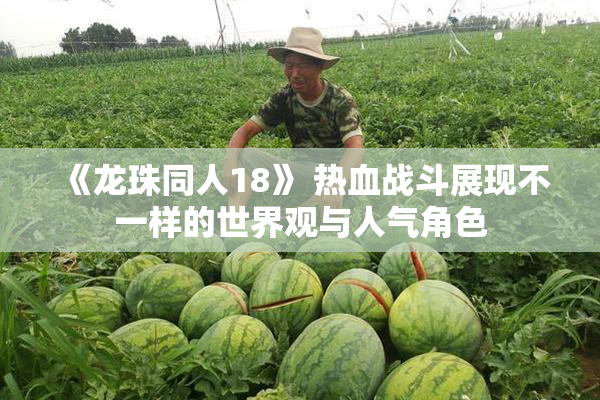 《龙珠同人18》 热血战斗展现不一样的世界观与人气角色