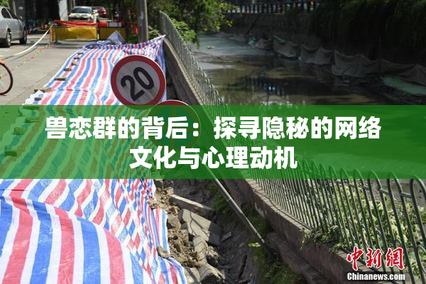 兽恋群的背后：探寻隐秘的网络文化与心理动机